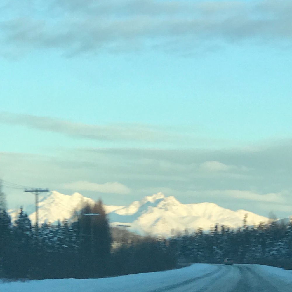 Meet your Posher, Elaine